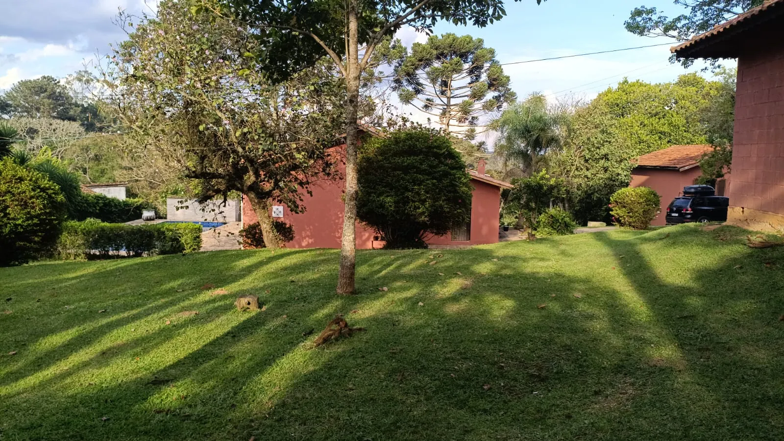 Área verde com árvores frutíferas e canil