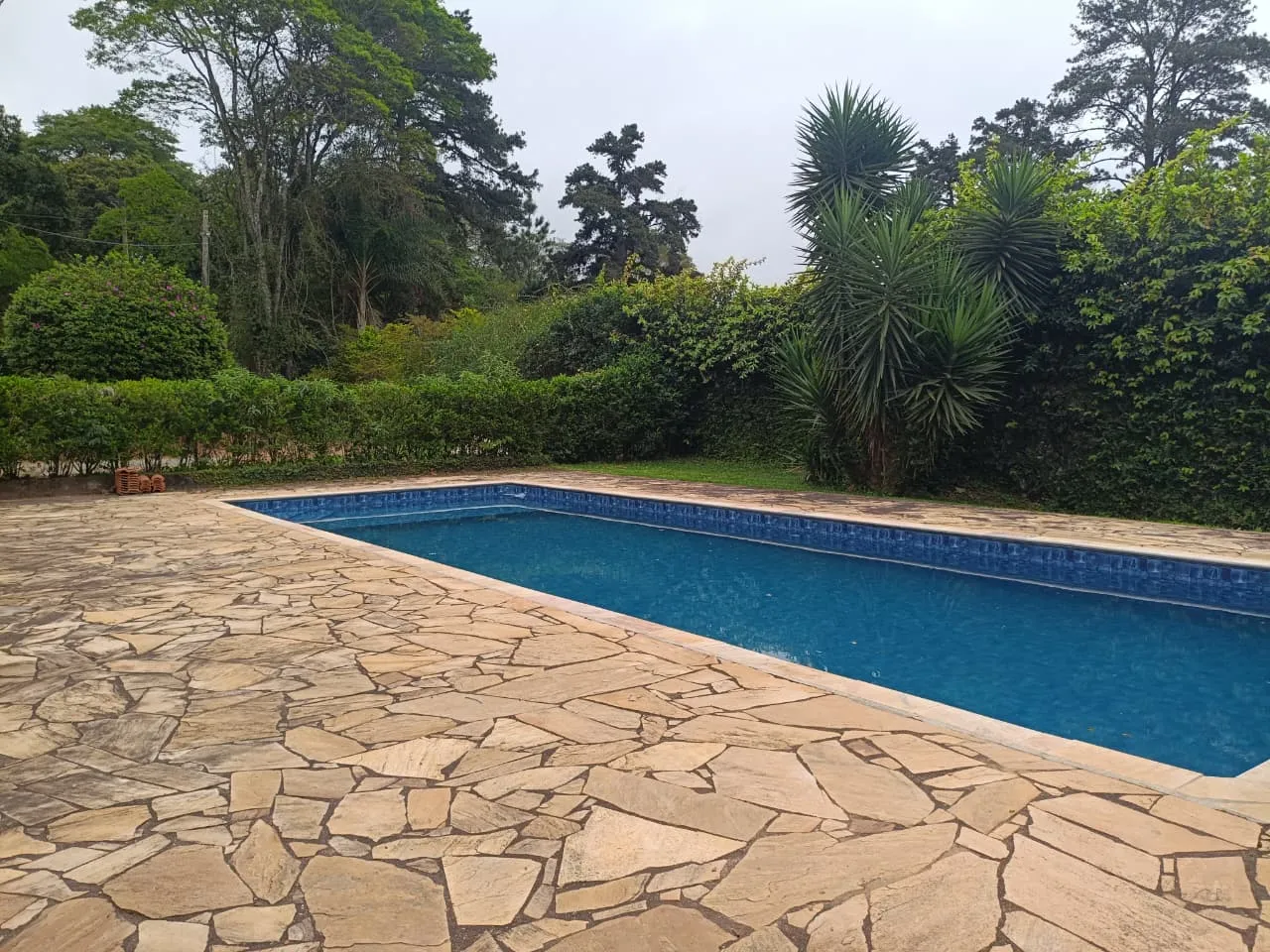 Piscina em meio ao verde